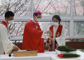 성지가지에 축복 중이신 김선태 주교님